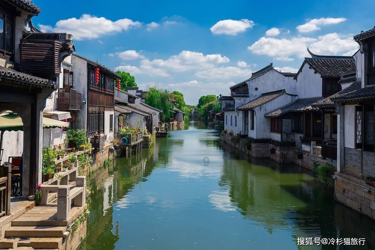 狗狗羊水破了后流血水